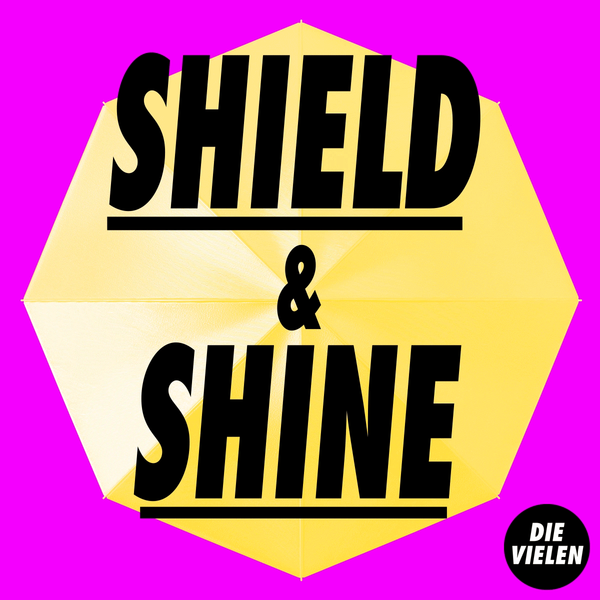 SHIELD & SHINE – Kampagnenaufruf der Vielen